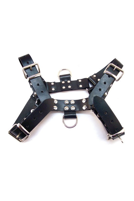 Rouge Over the Head Large Harness - Black