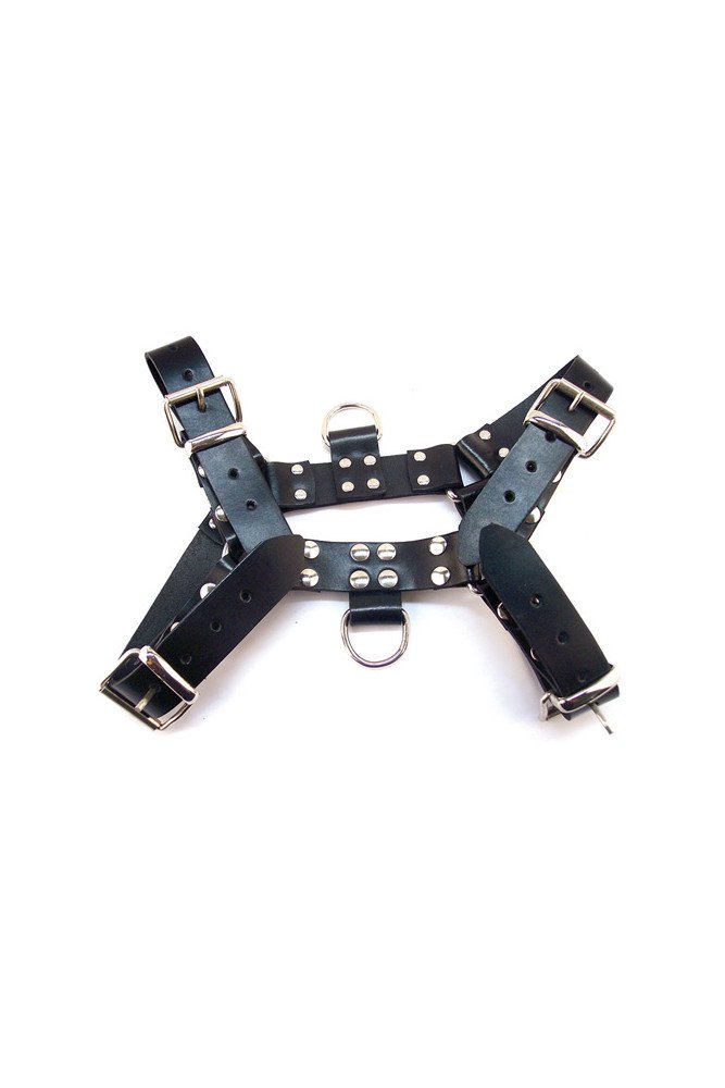 Rouge Over the Head Large Harness - Black