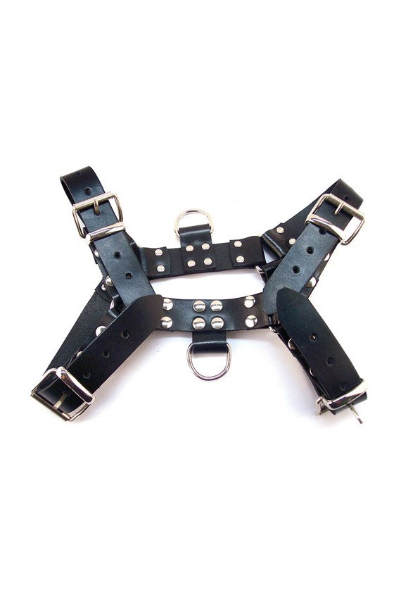 Rouge Over the Head Medium Harness - Black