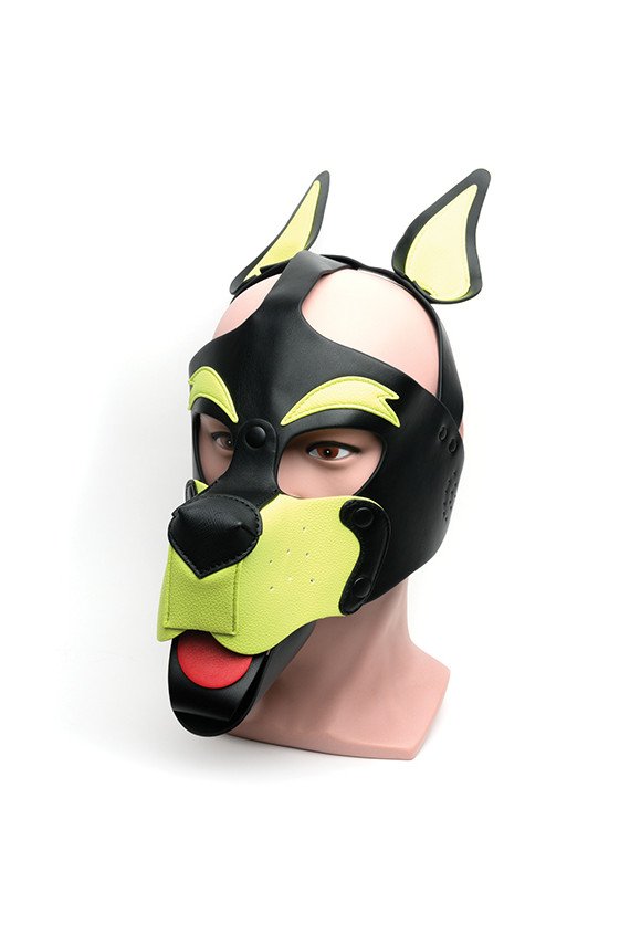 665 Playful Pup Hood - O/S Black/Yellow